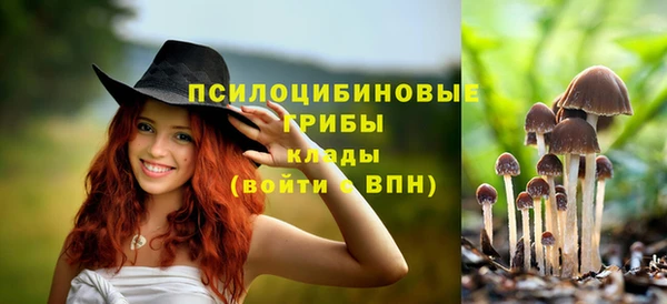кокс Бронницы