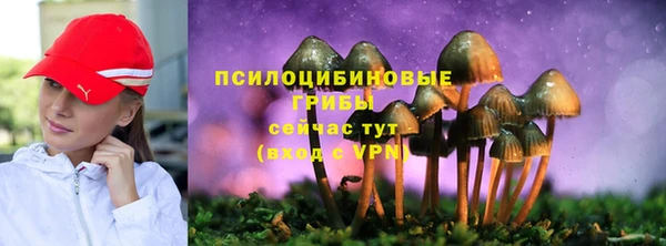 гашик Верея