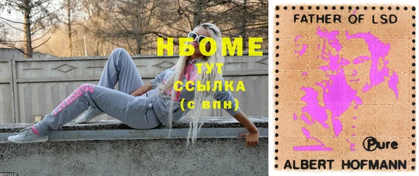 гашик Верея