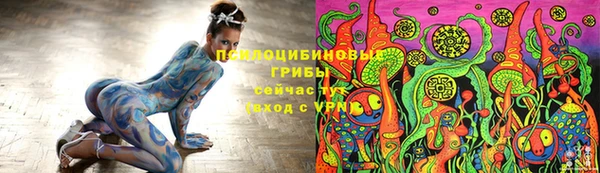 прущие крисы Бородино