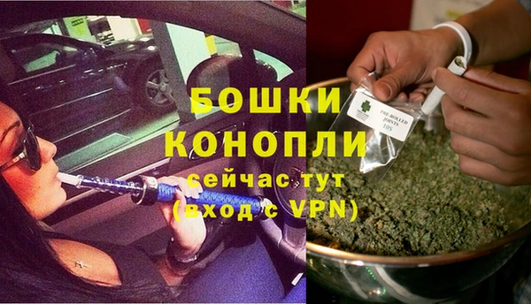 прущие крисы Бородино