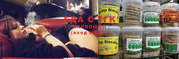 гашик Верея