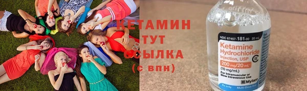 прущие крисы Бородино