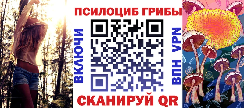 Псилоцибиновые грибы мицелий  ссылка на мегу   Камень-на-Оби 