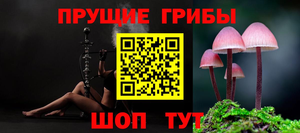 Галлюциногенные грибы прущие грибы  Вход с VPN  Камень-на-Оби 